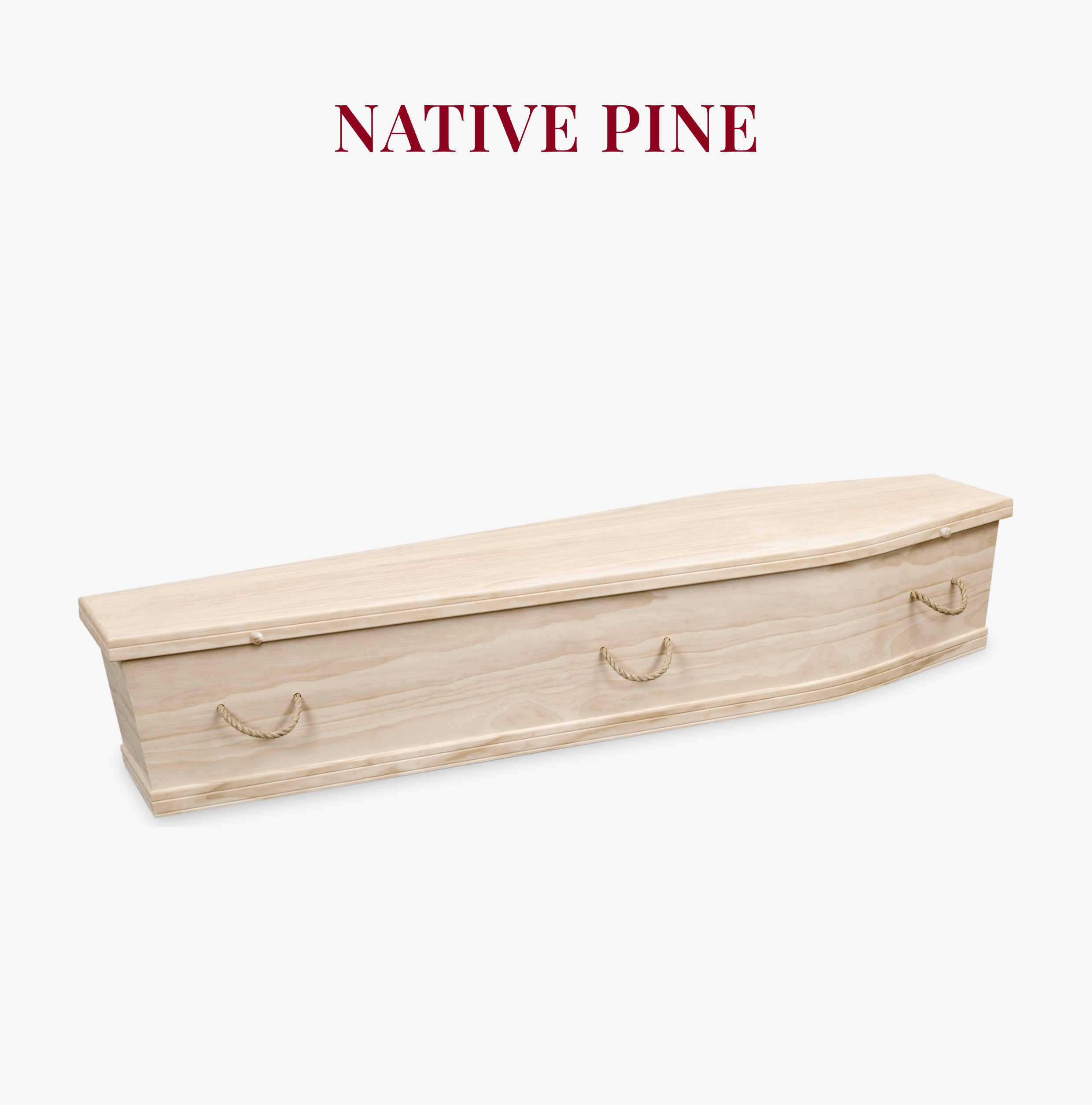 Native Pine